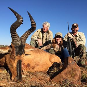 Red Hartebeest Hunting in South Africa