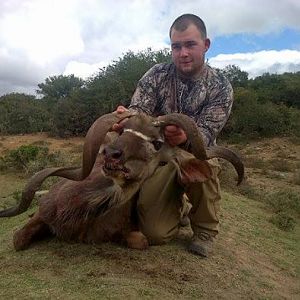 Hundting South Africa Deformed Kudu