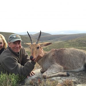 Mountain Reedbuck