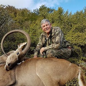 Unusual Kudu Trophy