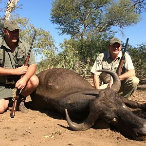 Buffalo Cow Hunting