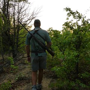 Vegetation thick and green Zimbabwe