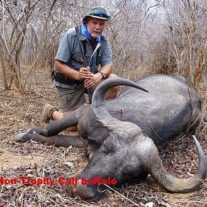 Non-Trophy Cull Buffalo Hunting Zimbabwe