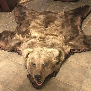 Kodiak Bear Rug