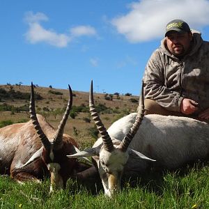 Plain & White Blesbuck Hunting