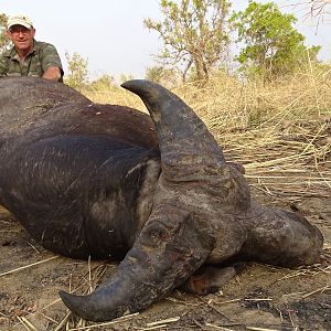 Hunting West African Savannah Buffalo Benin