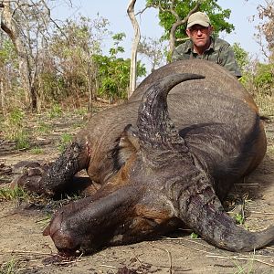 Hunting West African Savannah Buffalo Benin