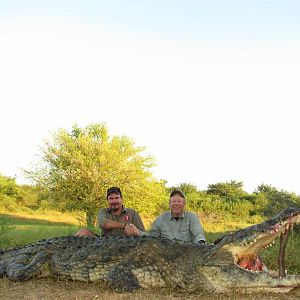 Hunting Crocodile Zimbabwe