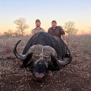 Buffalo Hunting Mozambique