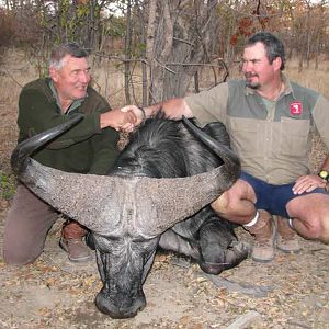 Buffalo Hunt Zimbabwe