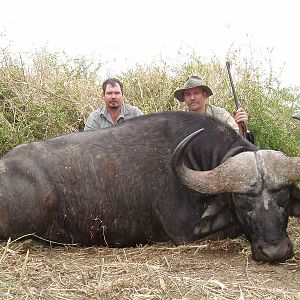 Buffalo Hunt Zimbabwe