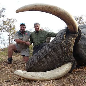 Hunt Zimbabwe Elephant