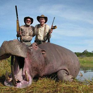 Zimbabwe Hunt Hippo