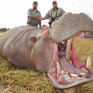 Zimbabwe Hunt Hippo