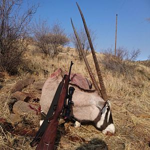 Gemsbok Female Cull Hunt