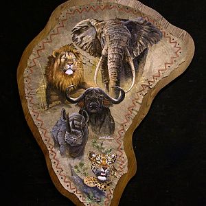 Elephant Ear Painting Taxidermy