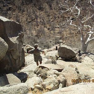 Greater Kudu Hunt Namibia