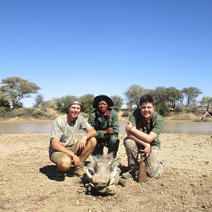 Warthog Hunt Namibia