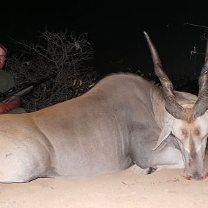 Cape Eland Hunt Namibia