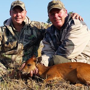 Hunting South Africa Red Duiker