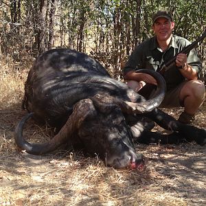 Hunting Buffalo in Zimbabwe