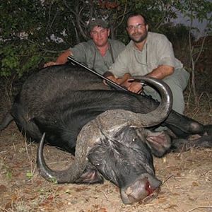 Hunting Buffalo in Zimbabwe