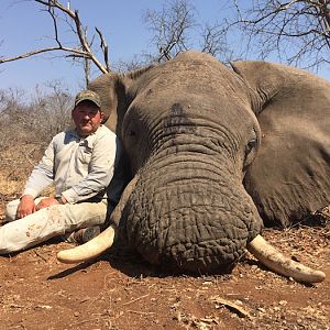 Zimbabwe Elephant Hunting