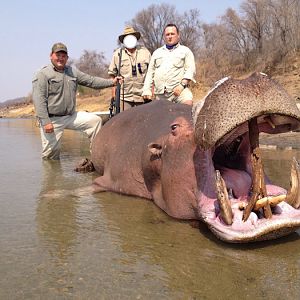 Hunt Hippo Zimbabwe