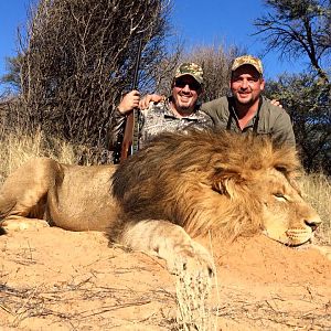 Hunting Lion South Africa