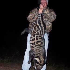 African Civet Hunt South Africa