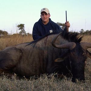 Blue Wildebeest Hunting in Zimbabwe