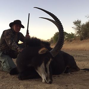 Hunting Sable Zimbabwe