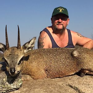 Hunting Klipspringer Zimbabwe