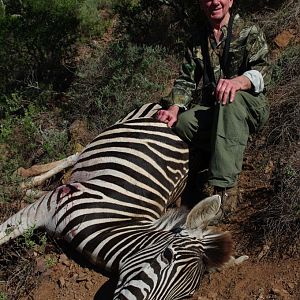 Zebra Hunt South Africa