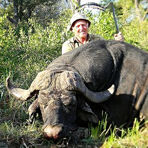 Hunting Buffalo