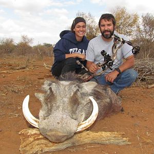 Bow Hunting Warthog in South Africa