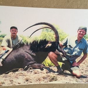 Sable Hunt Botswana