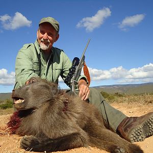 Baboon Hunt South Africa