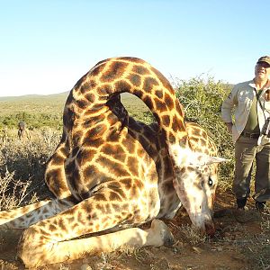 South Africa Giraffe Hunting