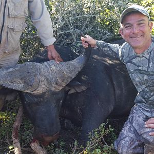 Hunting Buffalo South Africa