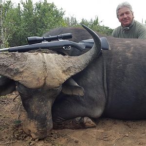 Hunting Buffalo South Africa