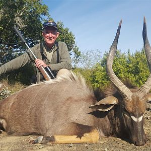 Nyala Hunt South Africa