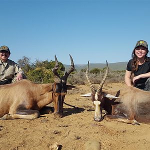 Red Hartebeest & Blesbok Hunt South Africa