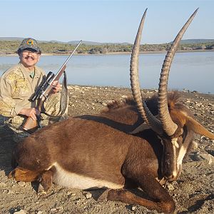 Sable Hunting in South Africa