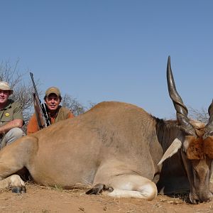 South Africa Hunting Eland