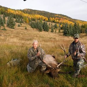 Elk Hunt