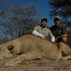 Lioness Hunt in South Africa