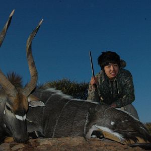 Nyala Hunt South Africa