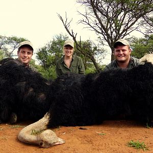 South Africa Ostrich Hunt