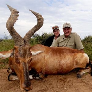 Red Hartebeest Hunt South Africa